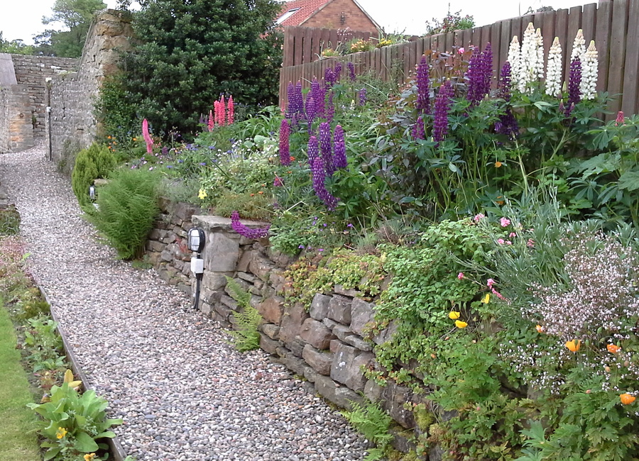 Garden path to car park view