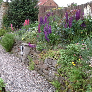 Garden path to car park view