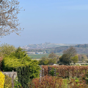 View Of Whitby from shared Garden